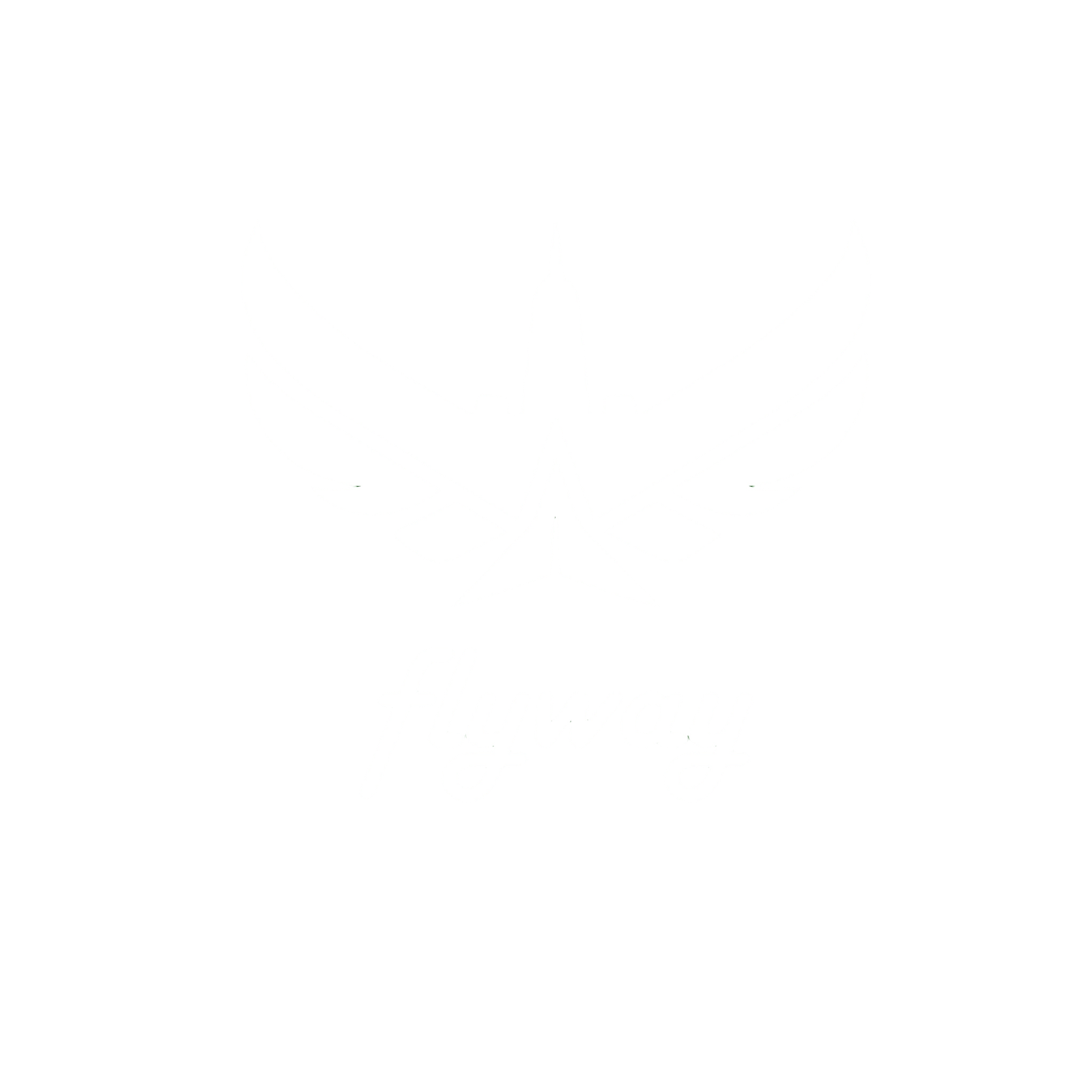 شعار فلاي وي